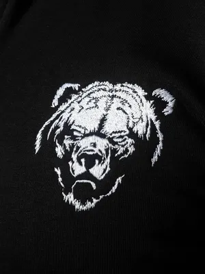 Русский медведь в плаще в ушанке, …» — создано в Шедевруме