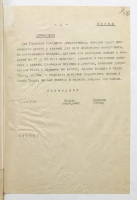 Женщины русской деревни: жертвы патриархального уклада или образец силы |  Forbes Woman