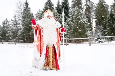 Дети «Русской механики» первыми встретили главного Деда Мороза страны