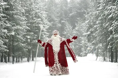 Антон Беляков on X: \"Мы все чаще видим картинки с Санта-Клаусом. А давайте  не забывать нашего Деда Мороза. Вот какой он красавец!  https://t.co/cNM0wYTM8E\" / X