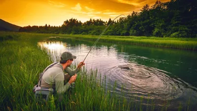 Рыбак С Удочкой На Лодке Морские Пейзажи С Рыбаком Ловли Рыбы Для Детей  Книги Человек С Бородой Наслаждаясь Досугом На Природе Красочная — стоковая  векторная графика и другие изображения на тему Катушка