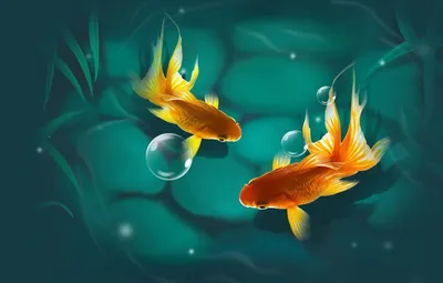 Обои подводного мира, обои рыбы для рабочего стола
