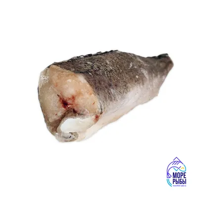 Хек (Мерлуза) рыбки колечком (до 300 грамм) купить по выгодным ценам в  Киеве, заказать Рыба онлайн в интернет магазине морепродуктов ribka.ua
