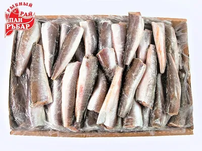 Аргентинский хек — Рыба — импорт из Аргентины