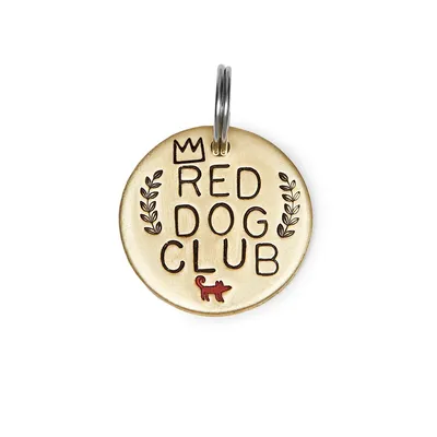 маленькая рыжая собака-метис в воротнике на прогулку Иллюстрация штока -  иллюстрации насчитывающей красивейшее, бобра: 225473539
