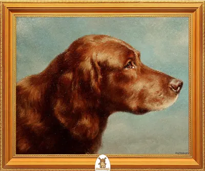 Игривый щенок, рыжая собака колли, …» — создано в Шедевруме