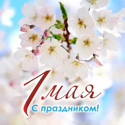 Какой сегодня праздник в мире и Казахстане: 1 мая - 01.05.2021, Sputnik  Казахстан