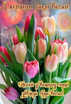 Поздравления на первый день весны! С 1 марта! | Весна, Милые открытки,  Праздник