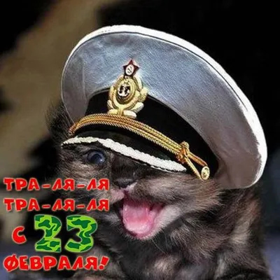 Подарить открытку с 23 февраля морякам онлайн - С любовью, Mine-Chips.ru