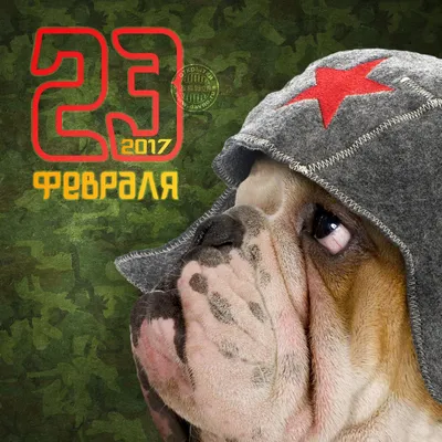 С Днем Защитника Отечества! (Мари Полякова) / Стихи.ру