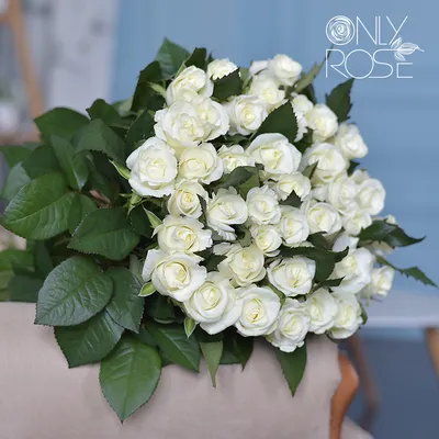 Подарок: 9 белых роз с еловыми ветвями по цене 4943 ₽ - купить в RoseMarkt  с доставкой по Санкт-Петербургу