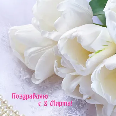 Букет из 25 белых тюльпанов | купить недорого | доставка по Москве и области