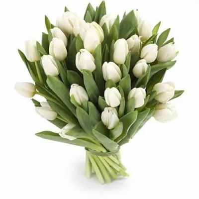 Букет из 25 белых тюльпанов купить в Санкт-Петербурге | Интернет-магазин  АртФлора