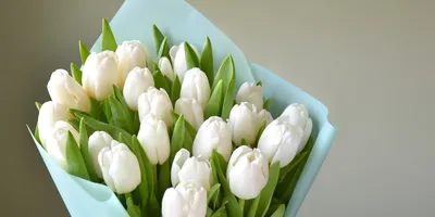 Белые и красные тюльпаны в оформлении «Factura .one»