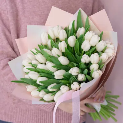 51 белый тюльпан в букете за 9 990 руб. | Бесплатная доставка цветов по  Москве
