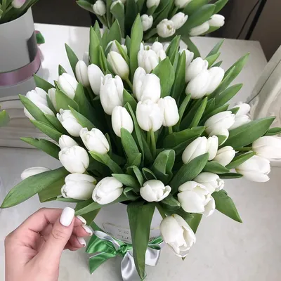 Белые тюльпаны в коробке от 51 шт. за 9 990 руб. | Бесплатная доставка  цветов по Москве