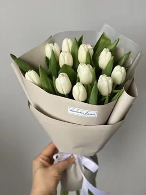 Букет белых тюльпанов — Купить букет с доставкой по Москве