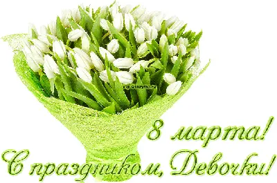 С праздником 8 Марта, милые девушки! - Белый дом краска, эмаль,  декоративная шпаклевка в Алматы, Астана