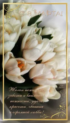 Marina Molodets ❤️ в Instagram: «с праздником , девочки 🌸 любите , сияйте  , цветите и пусть в душе всегда будет весна ❤️ 8 марта 💐» | Flowers,  Succulents, Plants