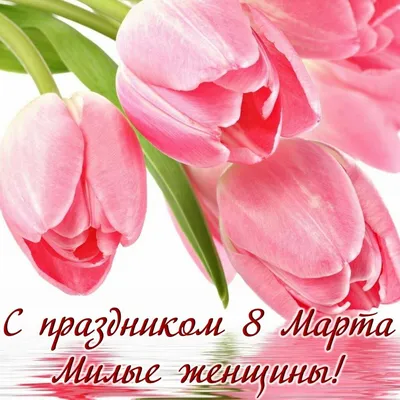 С праздником 8 марта, милые дамы!. Dantex Group. 07-03-2019
