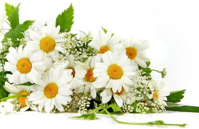 8 марта 💐 цветочный блог компании АртФлора