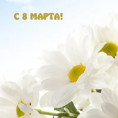 Дизайн поздравительной открытки Международного женского дня. Красивые цветы  ромашки и текст счастливый 8-ое марта, написанный на р Стоковое Изображение  - изображение насчитывающей цвет, состав: 211346149