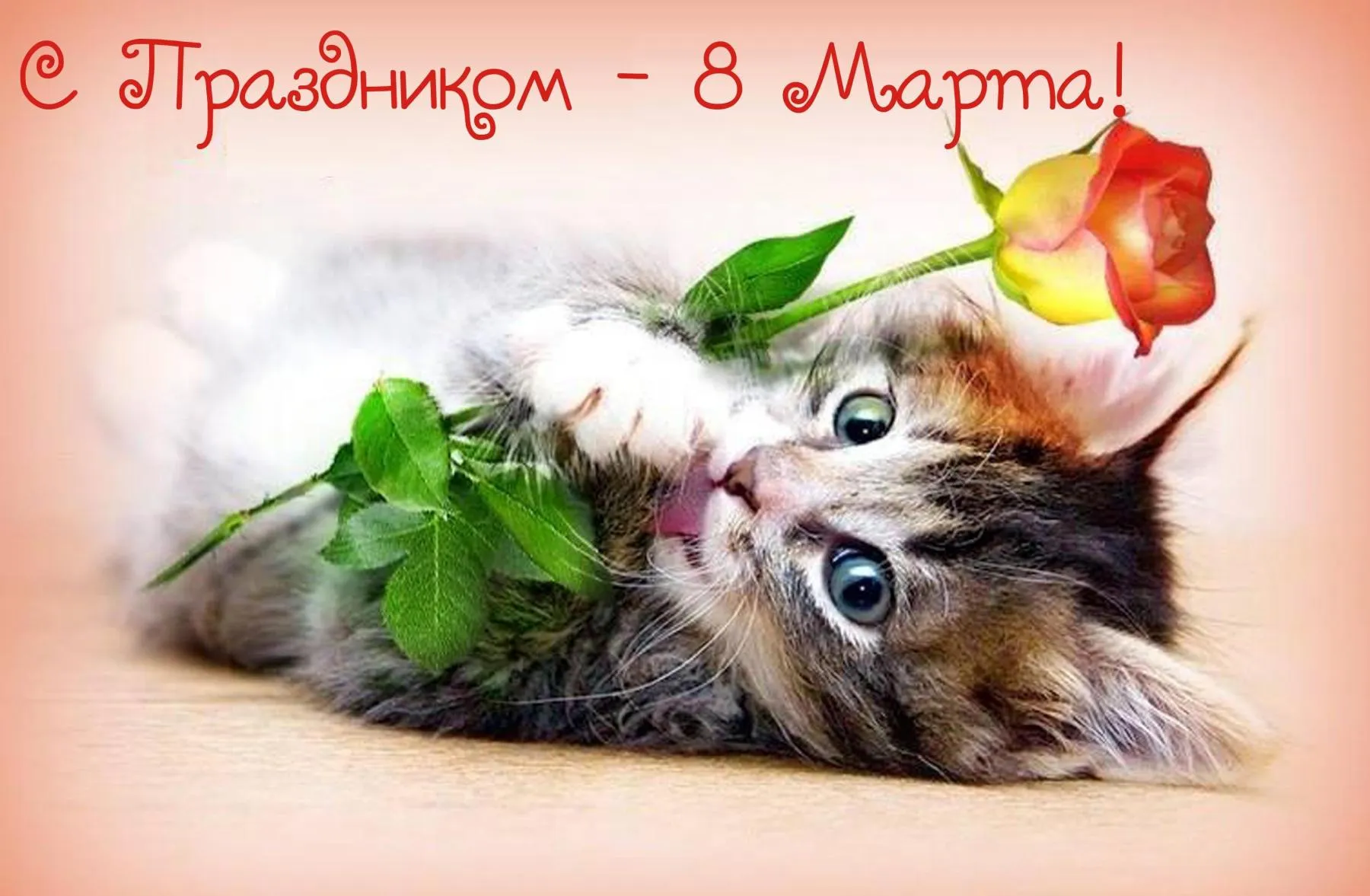 Фото с 8 марта оригинальные