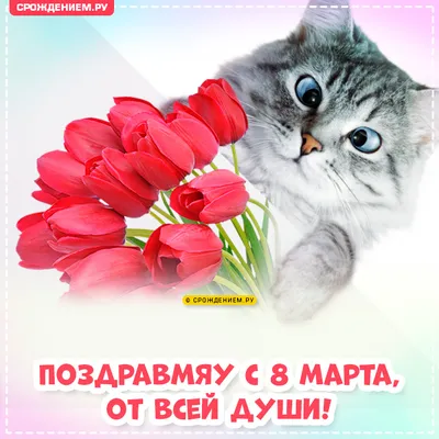 Поздравление с 8 марта от Kotenok - Винкс - YouLoveIt.ru