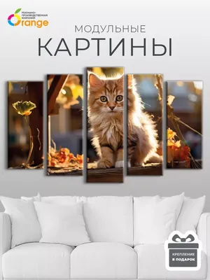 Творческая раскраска с наклейками. Чудесные котята - купить с доставкой по  выгодным ценам в интернет-магазине OZON (227755689)