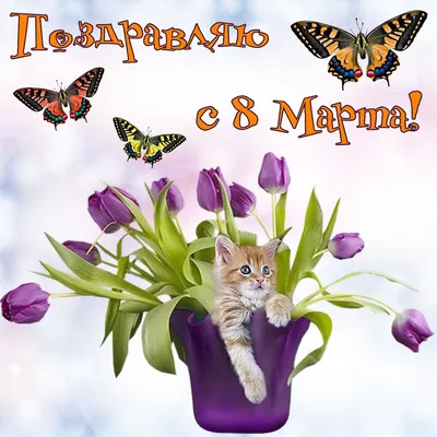 Трогательные открытки с 8 марта с котиками и нежными пожеланиями