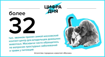 Раскраска Открытка с днем 8 марта | Раскраски 8 марта, раскраска к 8 марту.  Открытка к 8 марту