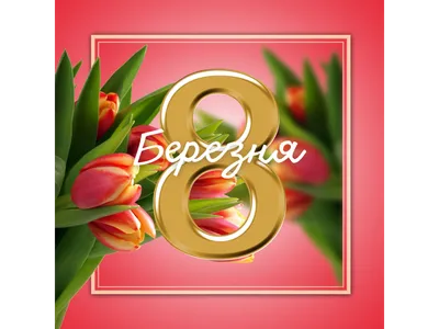 Исчерпывающая инструкция от Kaktus: что подарить на 8 марта девушке, сестре,  маме, теще, коллеге? | Блог Kaktus.ua