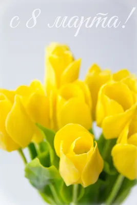 Картинки с 8 марта желтые тюльпаны