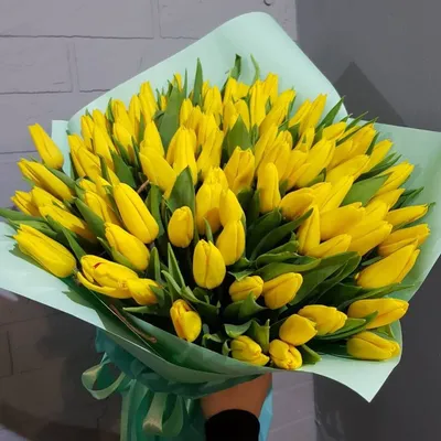 Букет Желтые тюльпаны - Доставкой цветов в Москве! 15605 товаров! Цены от  487 руб. Цветы Тут