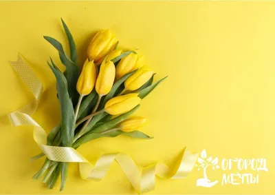 Купить букет из 101 тюльпана в Москве по недорогой цене на сайте  интернет-магазина Цветочныйрай.рф