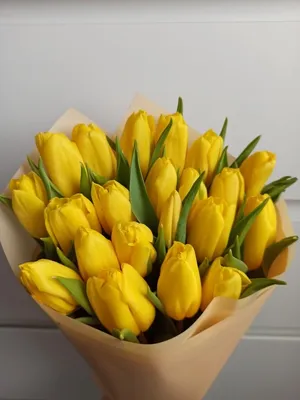 Скачать обои весна, желтые, Тюльпаны, розовые, 8 марта, раздел цветы в  разрешении 4000x3000