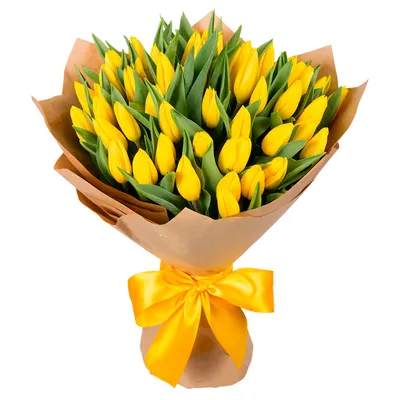 Желтые тюльпаны шт. купить в Краснодаре