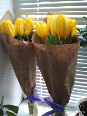 Фото-поздравление с тюльпанами - открытка № 11760 категории на 8 марта. Вы  можете скачать и поделиться этой открыт… | Цветы день рождения, Тюльпаны, С днем  рождения