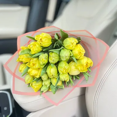 Рейтинг весенних букетов: какие цветы подарить на 8 Марта? | Новости |  Интернет-магазин орхидей и декоративных цветов в Москве. У нас вы можете  купить орхидеи с доставкой.