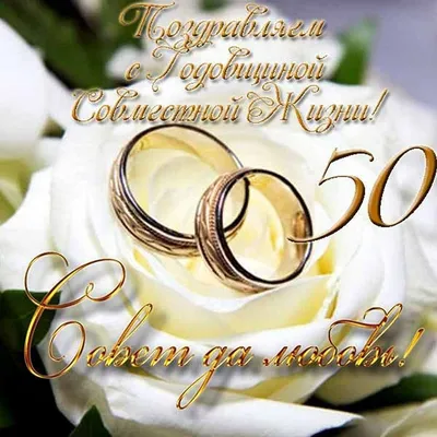 бархатная свадьба красивое поздравление｜Поиск в TikTok