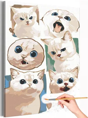 кошка эстетика кошки Белая кошка | Белые кошки, Кошки, Таро