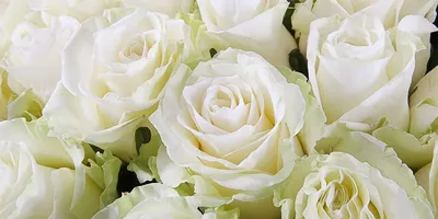 Букет белых цветов, шикарный букет из белых цветов в Самаре.
