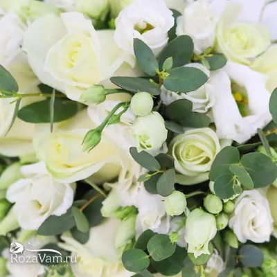 Almaflowers.kz | Голландские белые розы \"Mondial\" (80 см) - купить в Алматы  по лучшей цене с доставкой