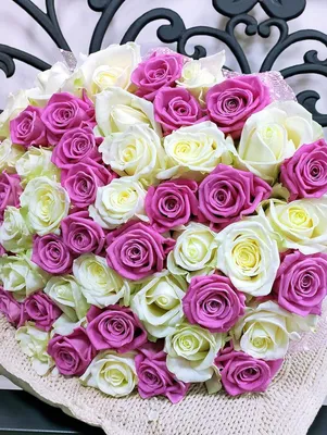 20 однолетников с белыми цветками – подойдут для сада любого стиля | В  цветнике (Огород.ru)