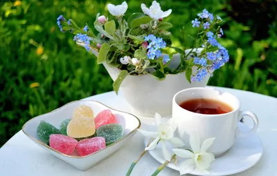 Пять цветов, которые можно заваривать в чай - Цветочная долина