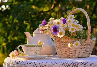 Лечебный чай - цветы, травы - Чайный домик: интернет-магазин китайского чая,  чайной посуды. Пуэр, улун, зеленый чай, красный чай, черный чай, желтый чай.  Аксессуары для чайной церемонии.