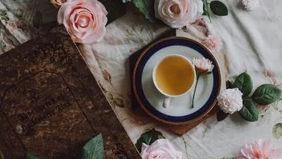 Olpdix - Как заваривать связанный чай, чтобы он распустился, как цветок? До  заваривания этот чай выглядит как сухая связка листьев, именно поэтому сорт  стал называться «связанным». Связанный чай (цветок бутон) - элитный