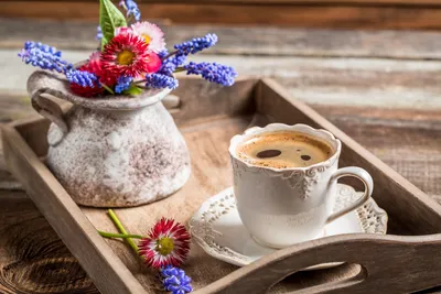 Чашка кофе и ромашки стоковое фото ©CreativeFamily 150195738