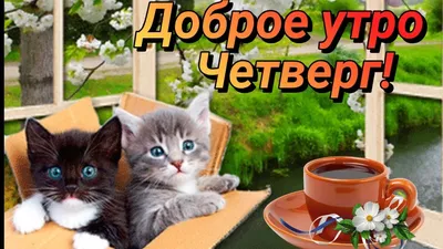 Открытка \"Доброе утро! Удачного четверга!\", с чашечкой чая • Аудио от  Путина, голосовые, музыкальные