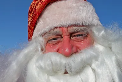портрет деда мороза с усами и бородой, распечатать картинку с дедом морозом  бесплатно, рождество, Санта Клаус фон картинки и Фото для бесплатной  загрузки